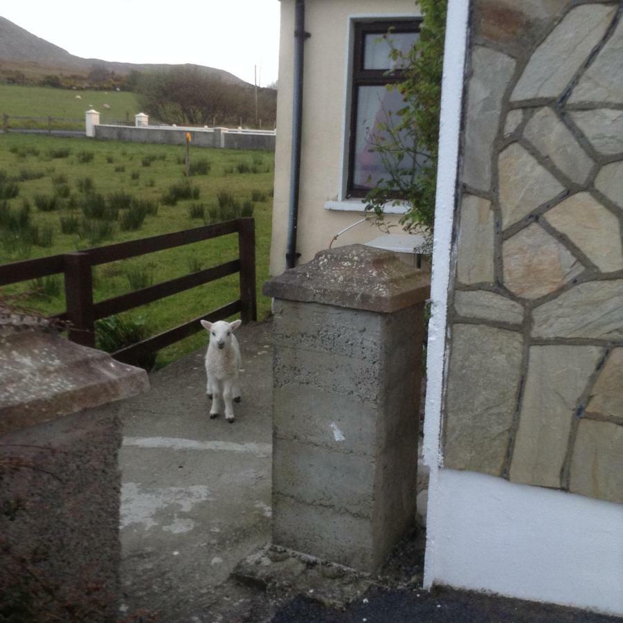 Sea View Chalet Kilsallagh Westport Co Mayo Exterior foto